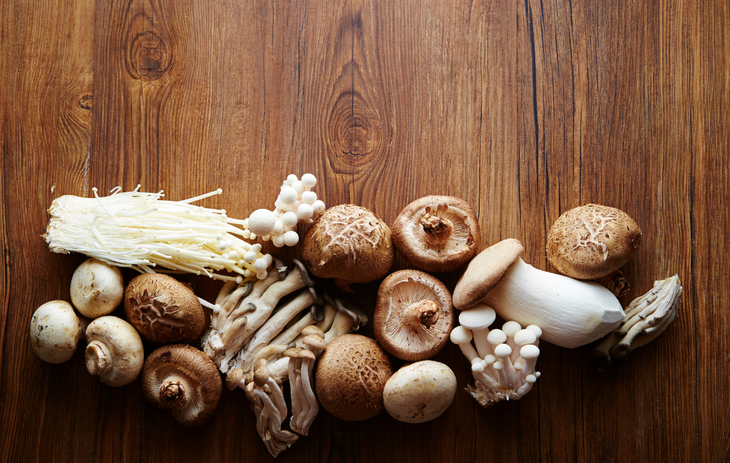 Mushrooms Preservation with Gold IRA, THCa, Delta 9 & Peptide Benefits